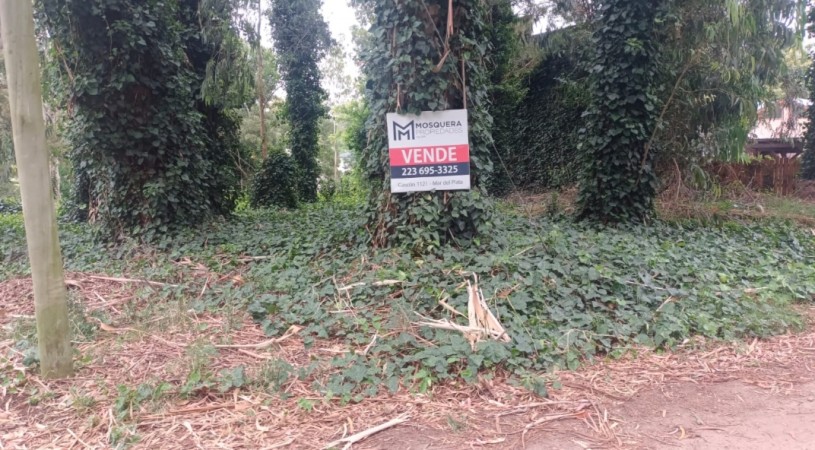 VENTA LOTE BOSQUE PERALTA RAMOS