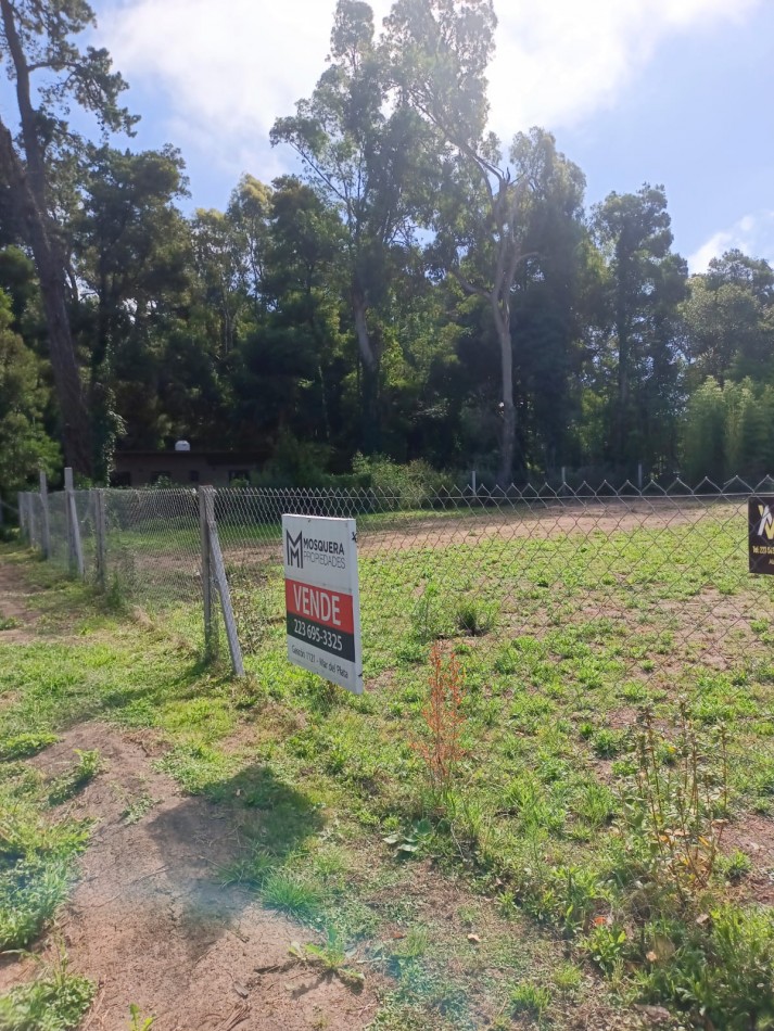 Venta Lotes Bosque Peralta Ramos