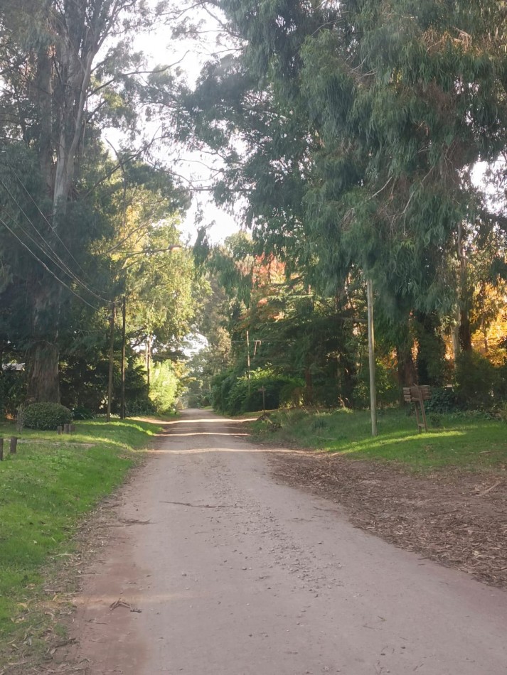 VENTA LOTE BOSQUE PERALTA RAMOS