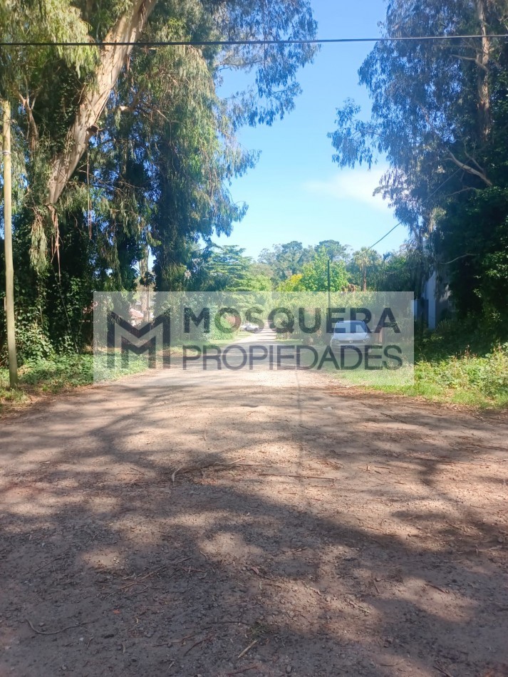 VENTA LOTE BOSQUE PERALTA RAMOS