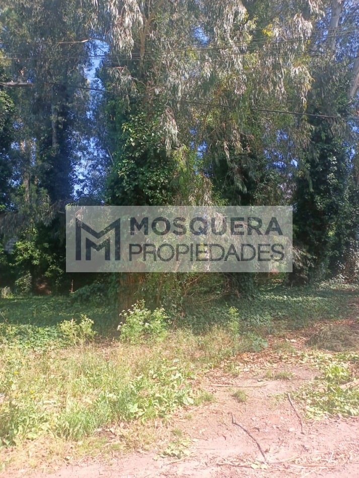 VENTA LOTE BOSQUE PERALTA RAMOS