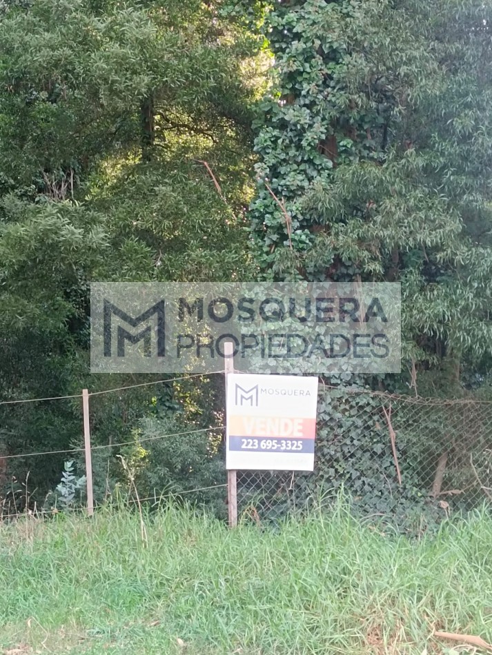 VENTA TERRENO BOSQUE PERALTA RAMOS