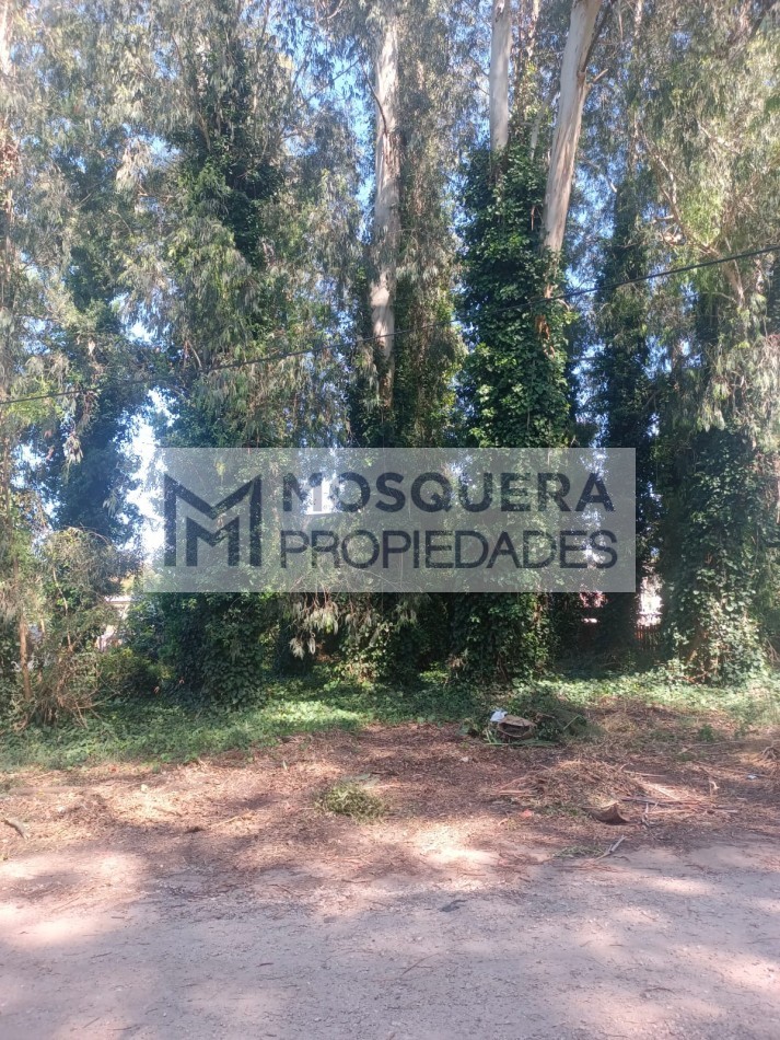 VENTA LOTE BOSQUE PERALTA RAMOS