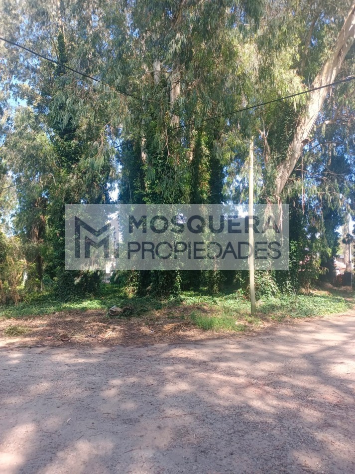 VENTA LOTE BOSQUE PERALTA RAMOS
