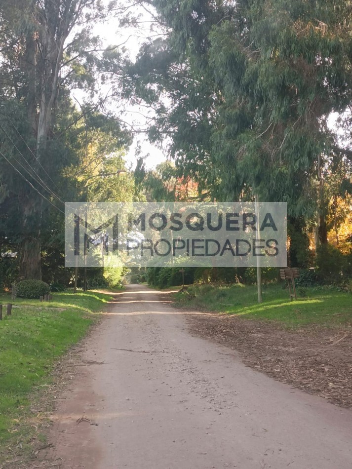 VENTA TERRENO BOSQUE PERALTA RAMOS
