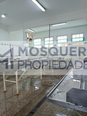 VENTA DEPOSITO ZONA COMERCIAL JUAN B JUSTO