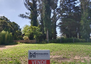 Venta Lotes Bosque Peralta Ramos 