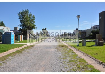 VENTA LOTES BARRIO LA AURELIA